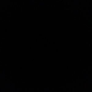 Meet your Posher, Sheila